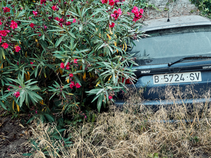 11-Pc15-2021-07-22 20.36.20